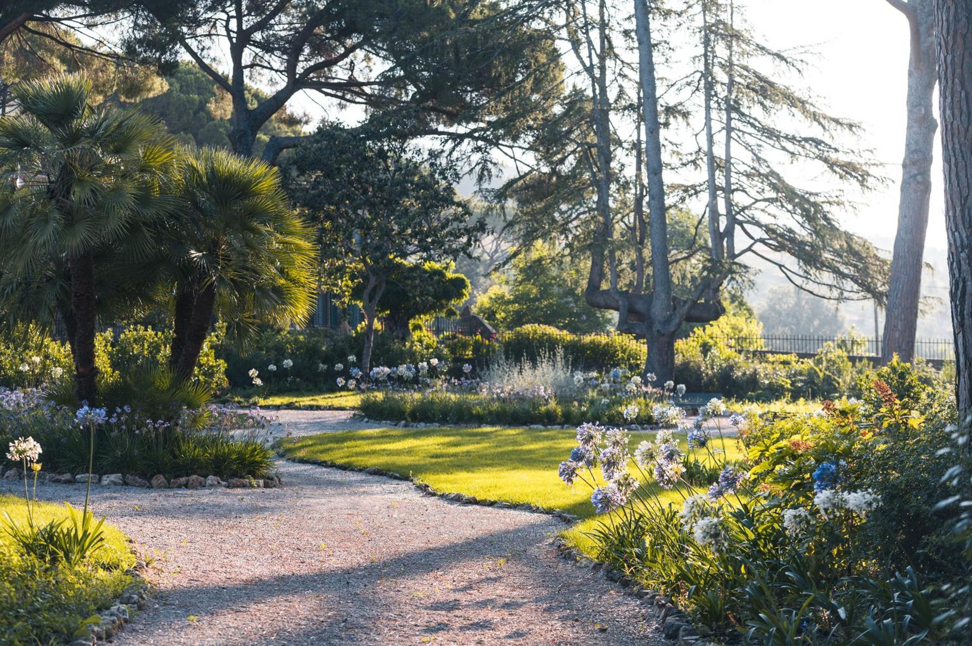 Tenuta Il Cicalino Massa Marittima Exteriér fotografie